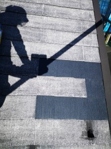 カラーベスト差し替え後