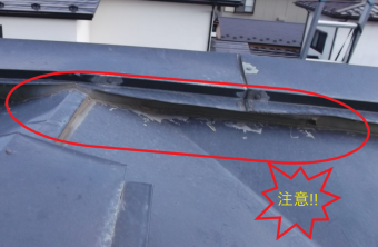 屋根の写真