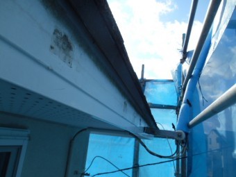 雨樋撤去