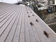 雪止金具の写真