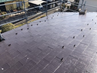 雪止金具の写真