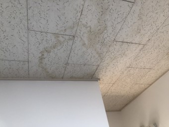 室内の雨染み