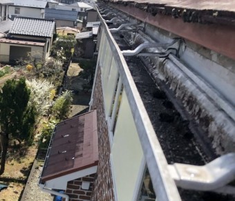雨樋