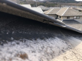 剥がれた棟板金