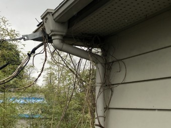 ツタの絡まった雨樋