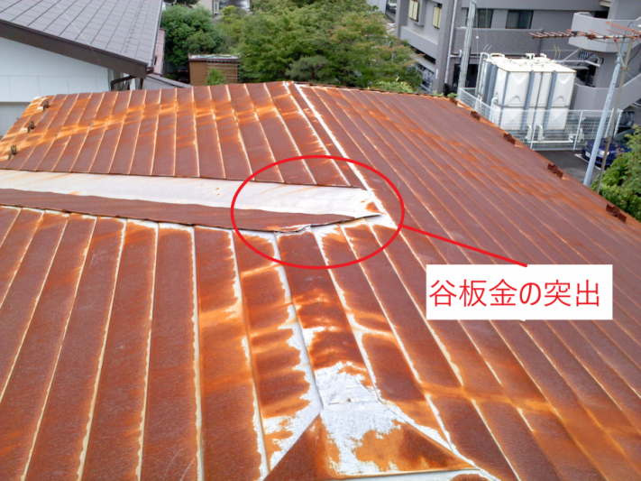 屋根の写真