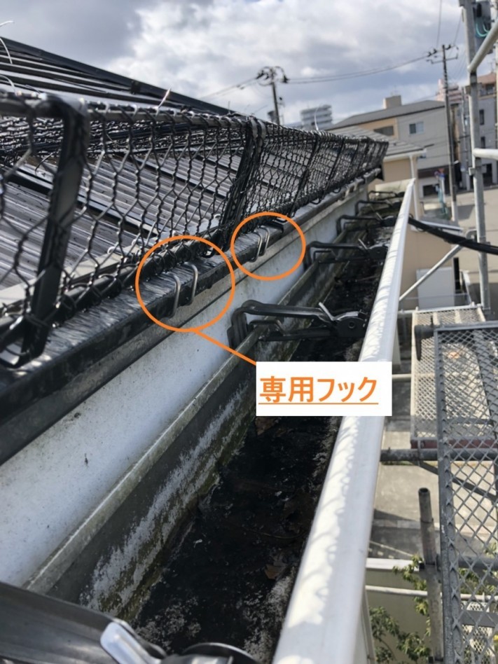 スノーZの写真