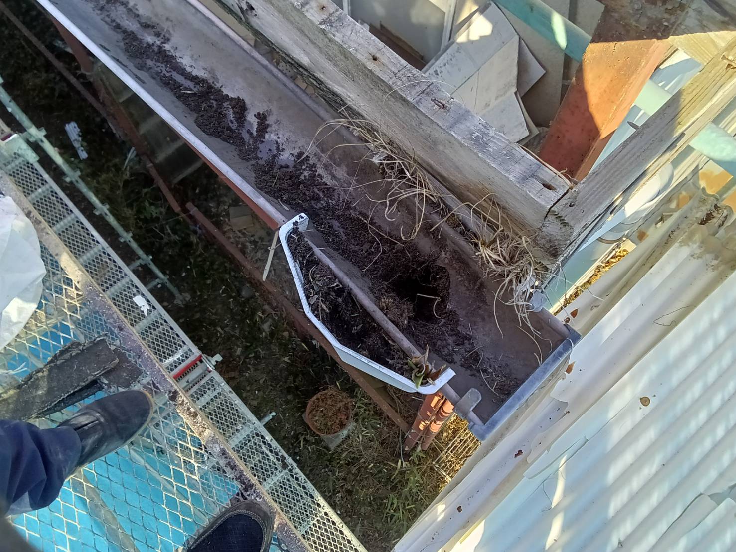 雨樋内部の堆積物