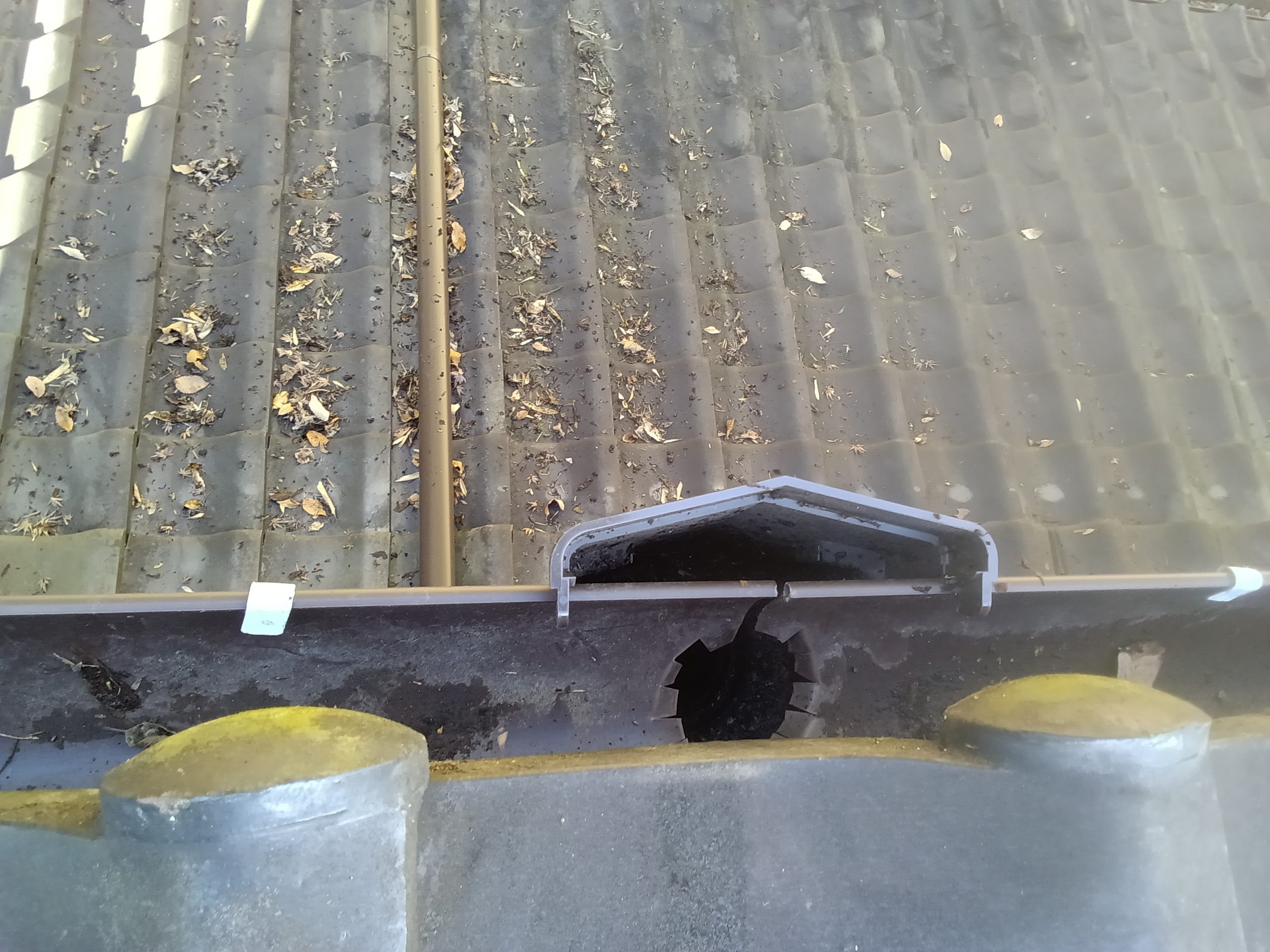 石庭雨樋清掃完了