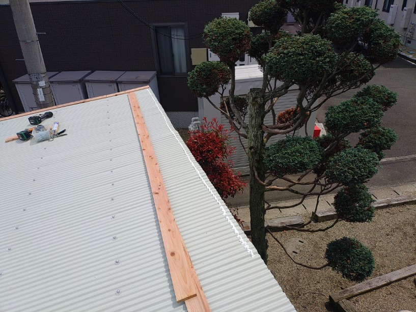 新しい波板の施工中
