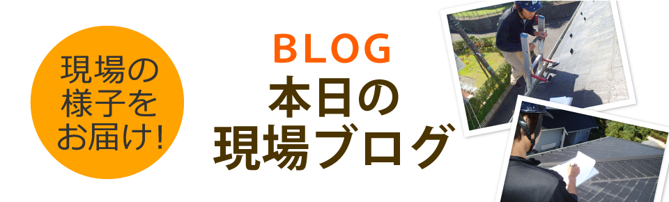 仙台市、名取市、多賀城市やその周辺エリア、その他地域のブログ